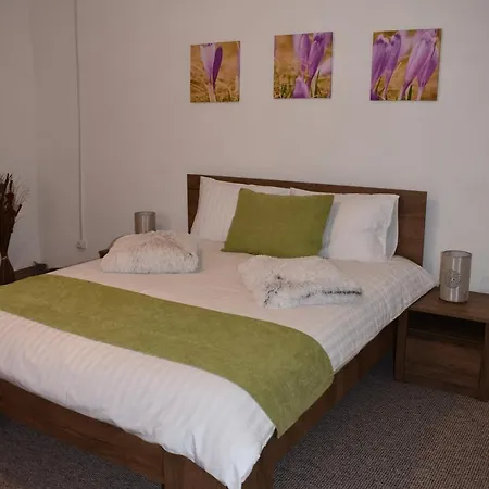 Zimbru * Κλουζ-Ναπόκα