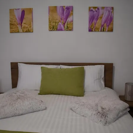 Zimbru Appartement *