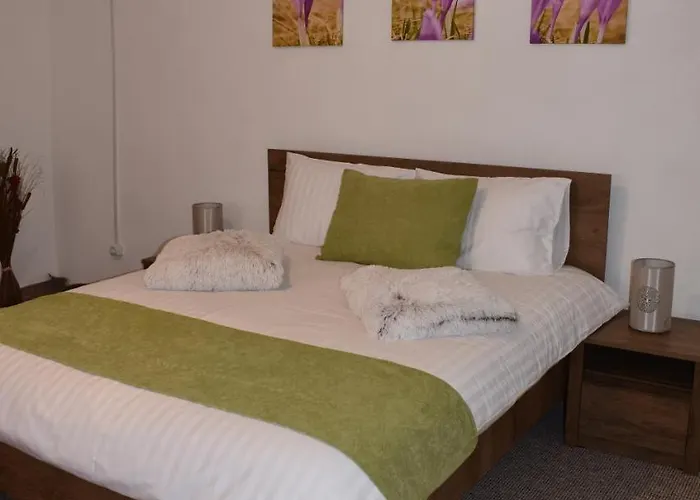 Zimbru * Κλουζ-Ναπόκα