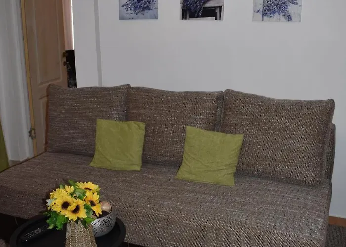 Apartamento Zimbru *