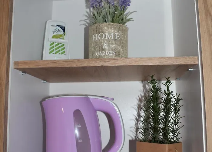 Zimbru * 클루지나포카