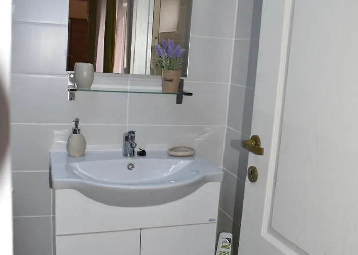 Zimbru Κλουζ-Ναπόκα